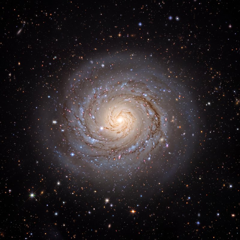 M77 (NGC 1068), telescope photograph finished for print