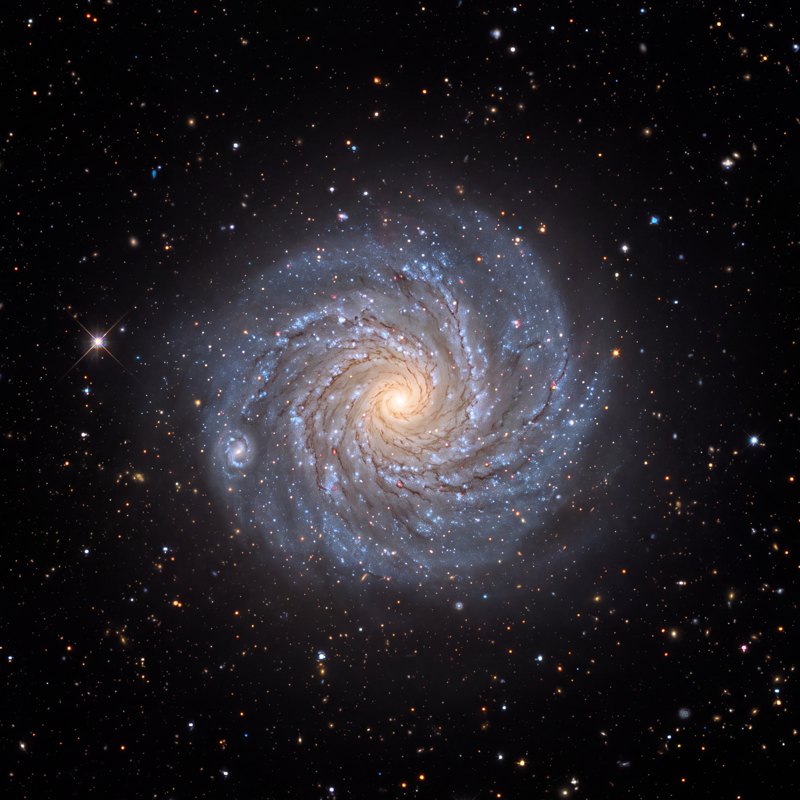 NGC 1232, telescope photograph finished for print