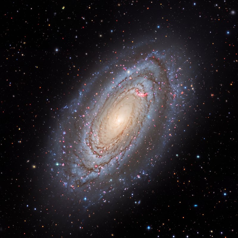 NGC 2841, telescope photograph finished for print