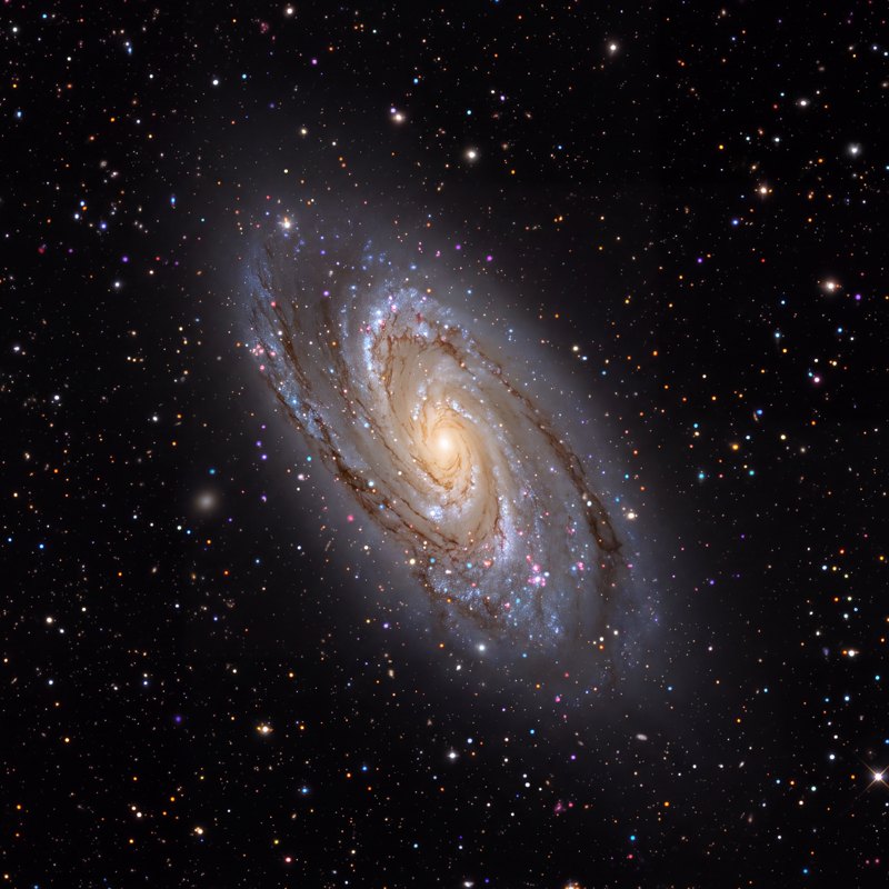 NGC 2903, telescope photograph finished for print