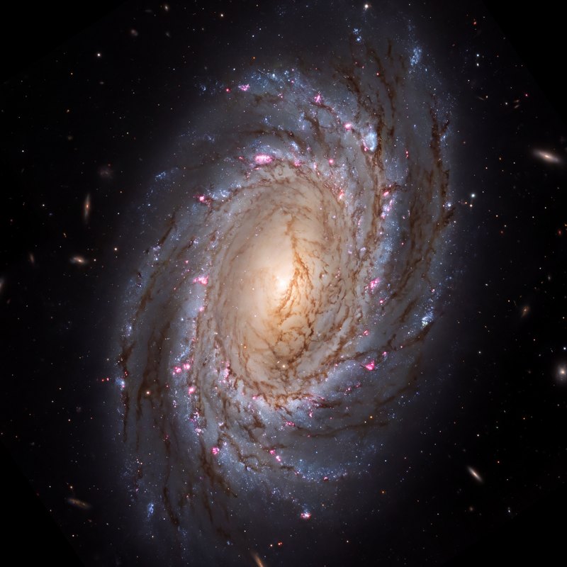 NGC 3521, telescope photograph finished for print