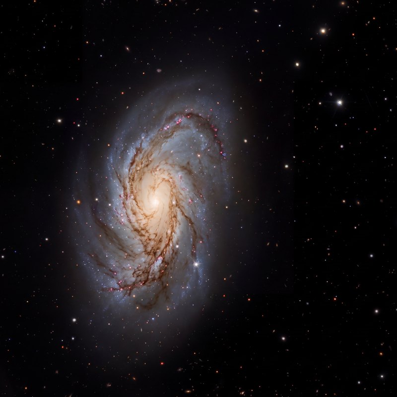 M66 (NGC 3627), telescope photograph finished for print
