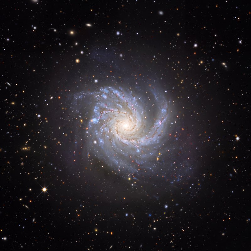 M99 (NGC 4254), telescope photograph finished for print