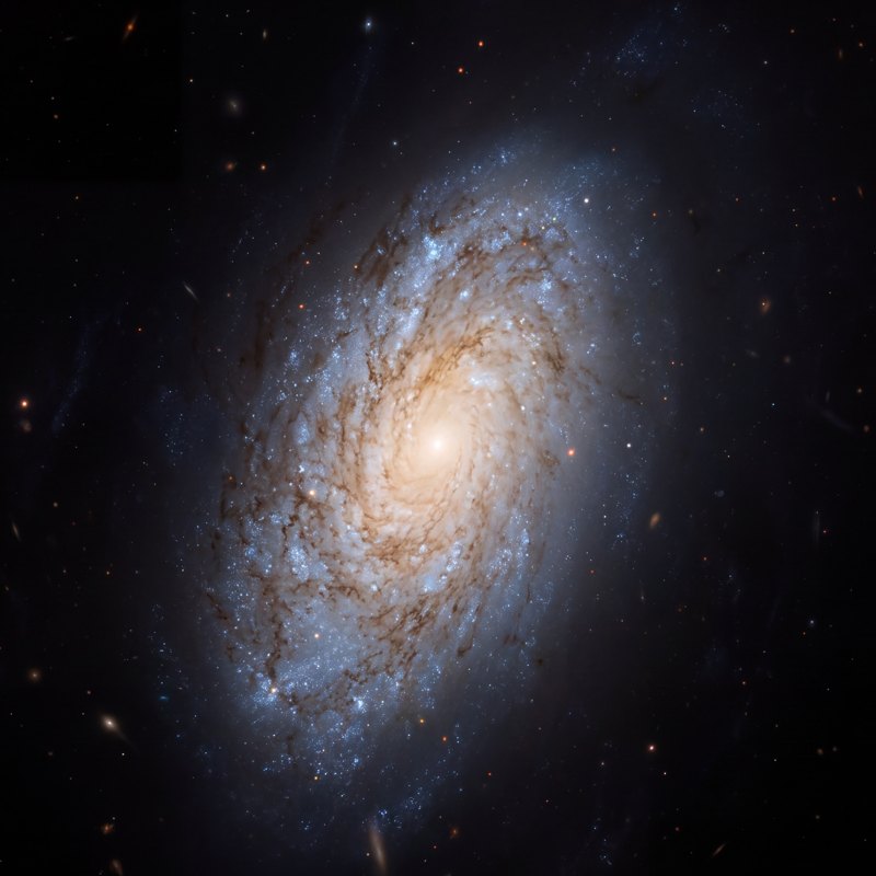 NGC 4414, telescope photograph finished for print