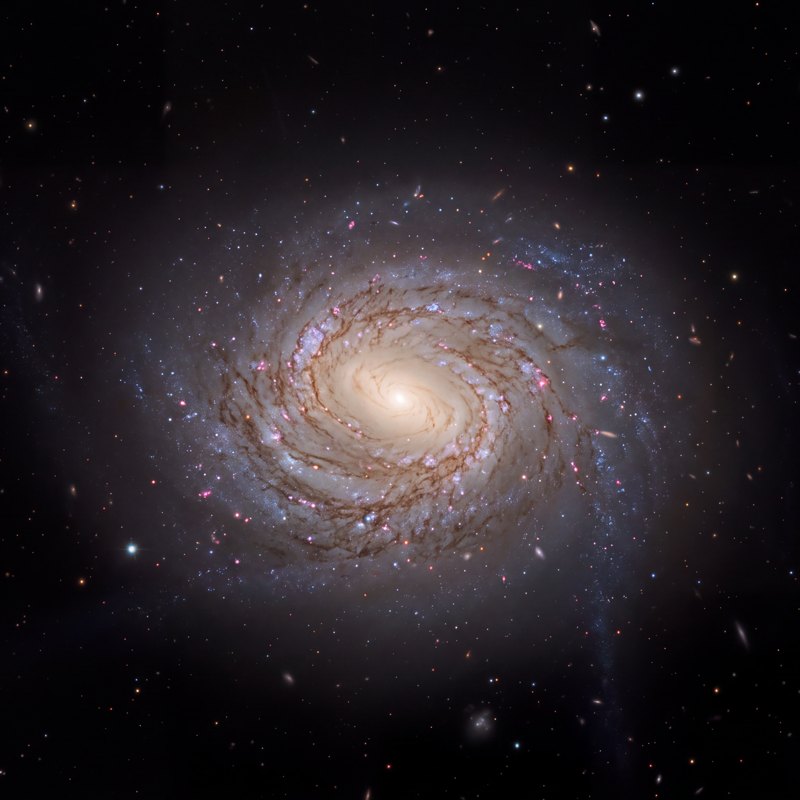 M58 (NGC 4579), telescope photograph finished for print