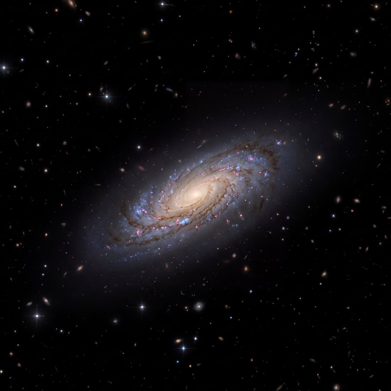 NGC 6532, telescope photograph finished for print