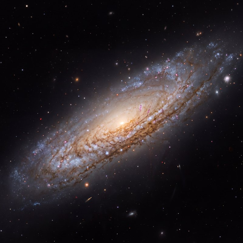 NGC 7331, telescope photograph finished for print