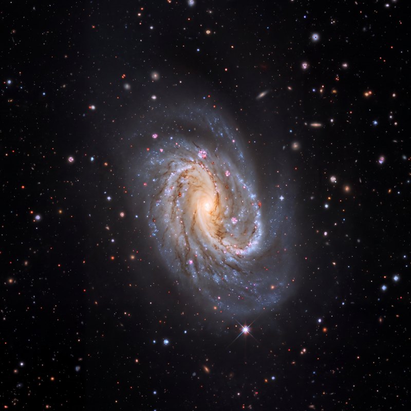 NGC 7479, telescope photograph finished for print
