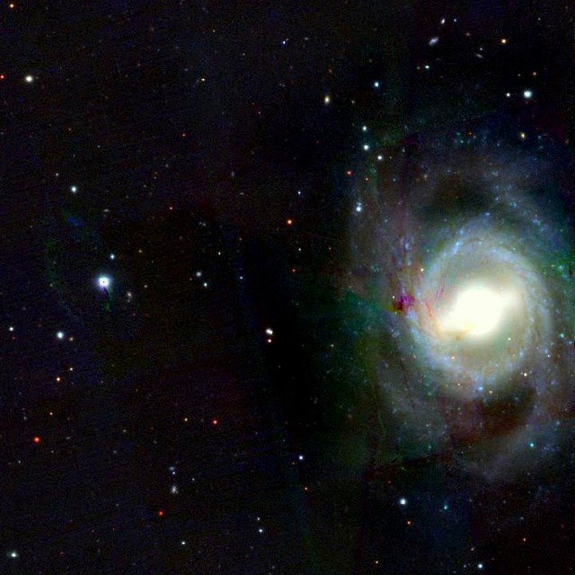 M95 (NGC 3351), telescope photograph